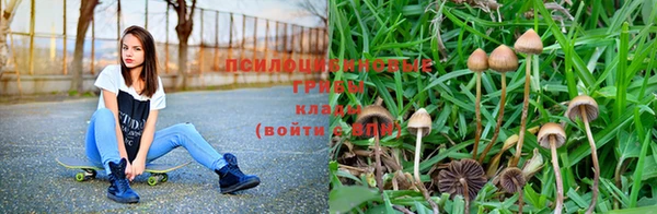 прущая мука Медногорск