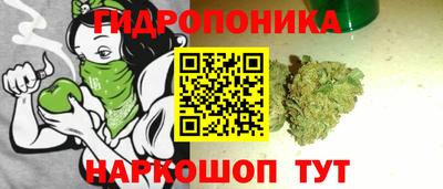скорость Дубна