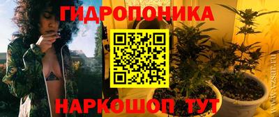 скорость Дубна