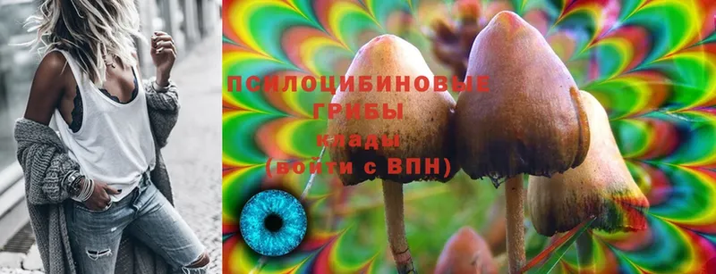 Псилоцибиновые грибы MAGIC MUSHROOMS  цена наркотик  Крымск 