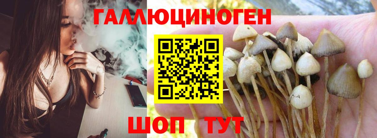 Галлюциногенные грибы Magic Shrooms Крымск
